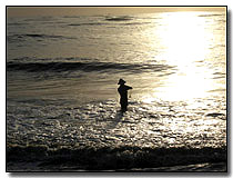 Arabian Sea